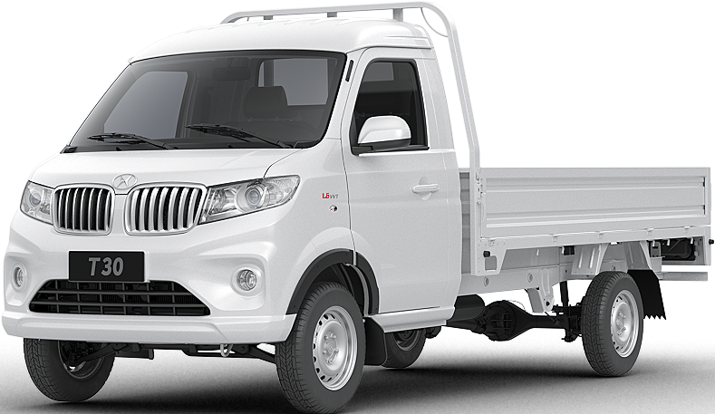 Shineray T30